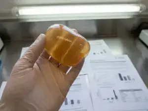 Hand examining glossy alginate casing under bright lab lights; technical datasheets in background, focusing on texture and sheen.